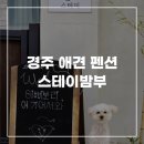 진티 | 경주 애견동반 펜션 독채 풀빌라 스테이밤부 프라이빗하게