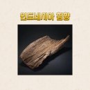 광동 | 광동 침향환 가격, 효능, 후기 완벽 분석! 프리미엄 효과?