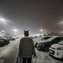 디디인터내셔널 이미지