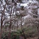 천주산 입구 이미지