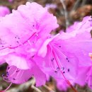 강회농장 이미지