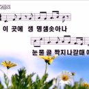 꽃들도