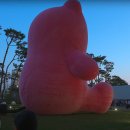 핑크벨리 Daum카페
