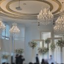 종암35 | 02.16 - 03.01 감포숯불갈비, 오펠리스 웨딩, 재구네닭발, 아펠가모 공덕, 센과 치히로의 행방불명 연극...