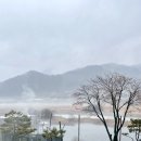 커피단월 이미지