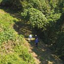 양화마을 이미지