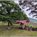 동호솔숲 이미지