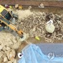 음성농장 이미지