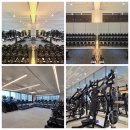 (긴급)오전 트레이너 급구 인계회원 20명 이상[송파,위례,하남,강동] 엑시트짐 트레이너 수업료(~58%)+인센티브!! (수요 포화) 이미지