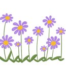 현대쇼핑 이미지