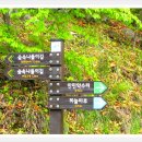 숲속나들이길 이미지