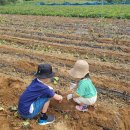 신현농장 이미지