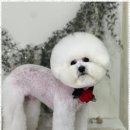 아르테미스학원 이미지