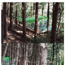 춘천요양병원 이미지