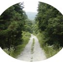 통나무집펜션 이미지