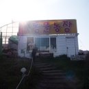 신라부화장 | 강원도 횡계★ 대관령 아기 동물농장 후기