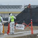 중인농장 이미지