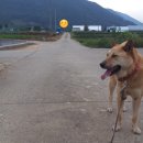 (주)참도담 이미지