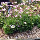 주)밝은마음 이미지