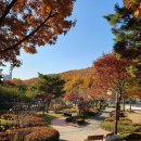 안양시립석수도서관 | 안양시립석수도서관과 충훈공원