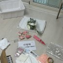 병해지 | W?외전. 백점짜리 프로포즈 후기💍 (꽁남버전)