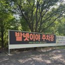 발넷이야 | 주차 걱정 없는 넓고 이색적인 대구애견카페 &#34;발넷이야&#34; 방문 후기