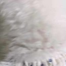 마조르댕 이미지