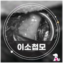 이소메디칼 이미지
