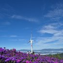 거창 창포원맛집 이수미팜베리 힐링코스, 창포원 갔다가 꼭 들르세요