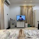 간호사의게스트하우스
