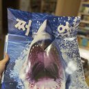 자연전집 이미지