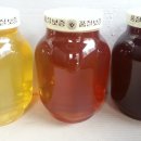 최순복농장 이미지