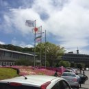 쿠사바이크 네이버블로그