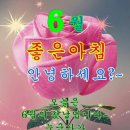 2020년 5월 독서 결산입니다! 이미지