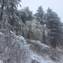 12월 마지막날 ㅡ 태백 함백산 눈꽃 이미지