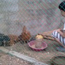 한준농장 이미지