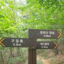 2월23일(금) 기흥 용뫼산 산책로 이미지