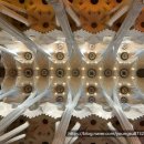 가우디&구엘 | 바르셀로나 가우디 반일투어 후기 | 사그라다 파밀리아 구엘공원 투어 추천