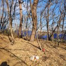 안 수의과병원 이미지