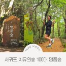 하조대 회전교차로 주변길 | 서귀포 치유의 숲 대한민국 100대 명품숲 제주숲길 추천