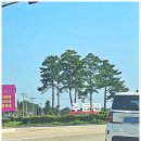 중앙시장길 이미지