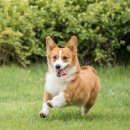 담아내기 이미지