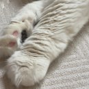 정남약국