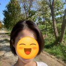 머릿결 관리, 나의 추구미를 현실로 서대문역 미용실 파인트리 헤어살롱 한솔 원장쌤