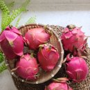 백용농장 이미지