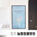 늘품동물병원