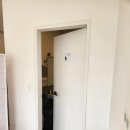 태인 애견 이미지