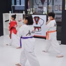 대방 품태권도장 이미지