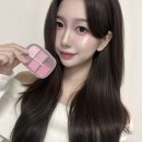 멀티소프트 | 올리브영 팔레트 추천 웨이크메이크 소프트 쉬어 멀티 팔레트 05 핑크 플레어 여름쿨톤 후기