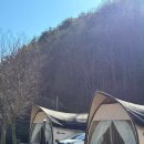 가나팜 | 청도 애견 글램핑, ’팜스토리‘ 별이 잘 보이는 대구 근교 글램핑장